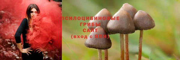 спайс Арсеньев