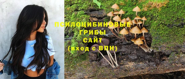 стафф Армянск