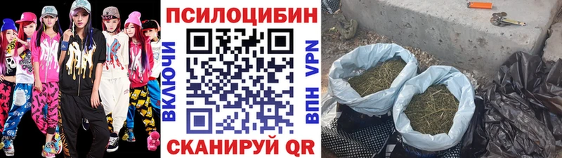 Галлюциногенные грибы прущие грибы  МЕГА ссылки  Лениногорск 